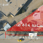 scaled 1000180839 e1733060045232