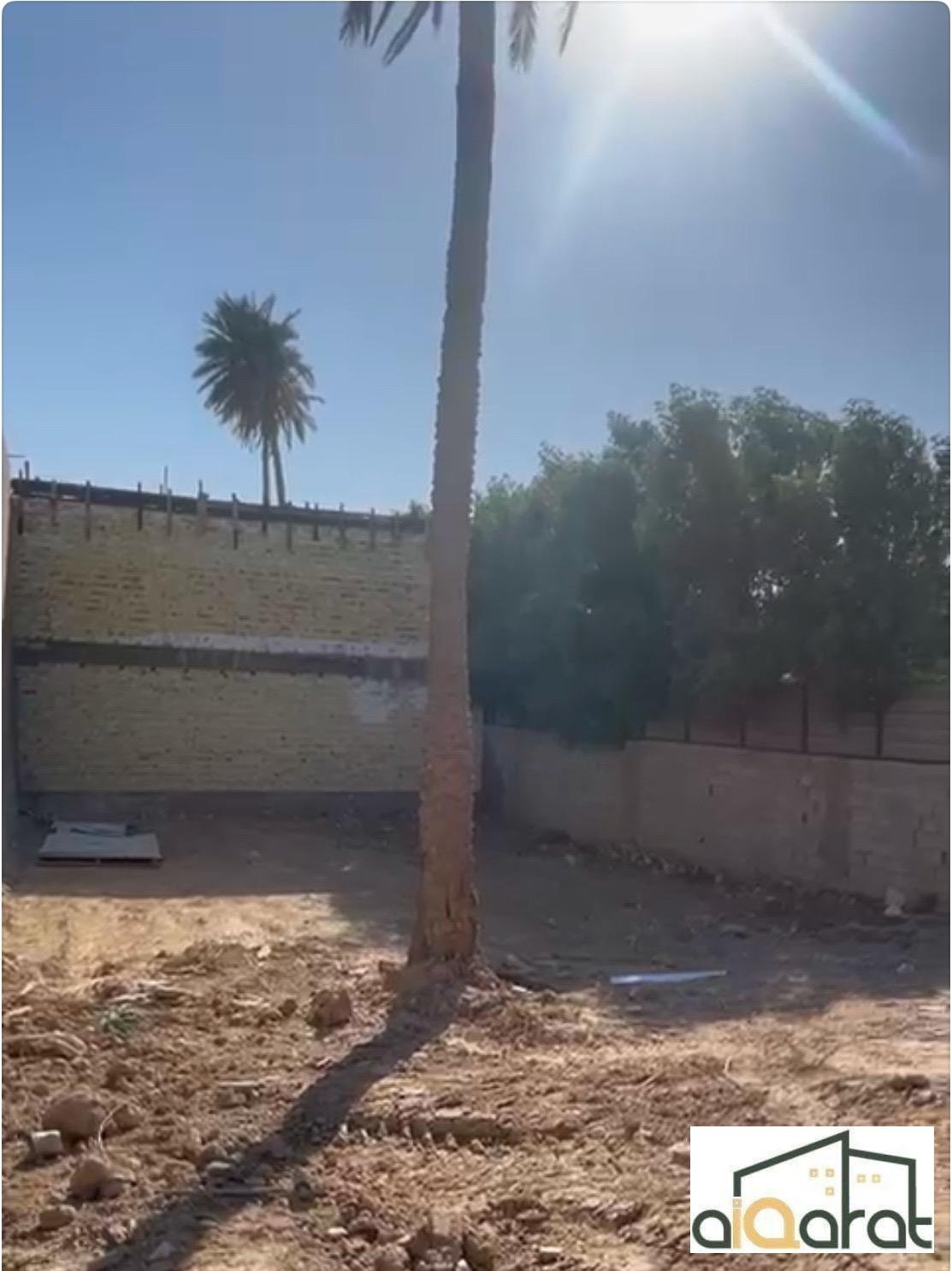 image_picker_BFB10643-71FD-4272-B00A-FC4D947D93E8-96717-00000E8FBF4FF9DA