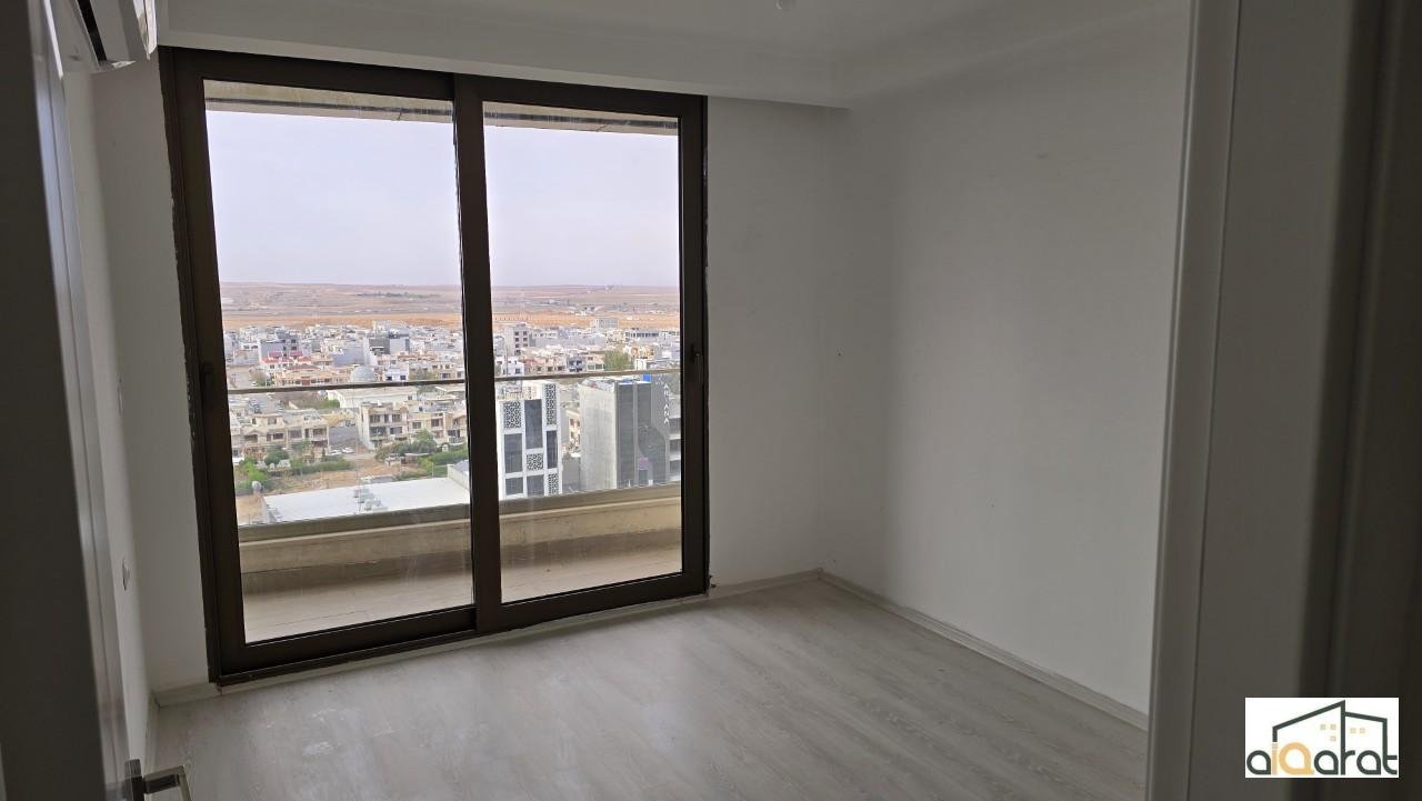 20241231_125426 (Custom)