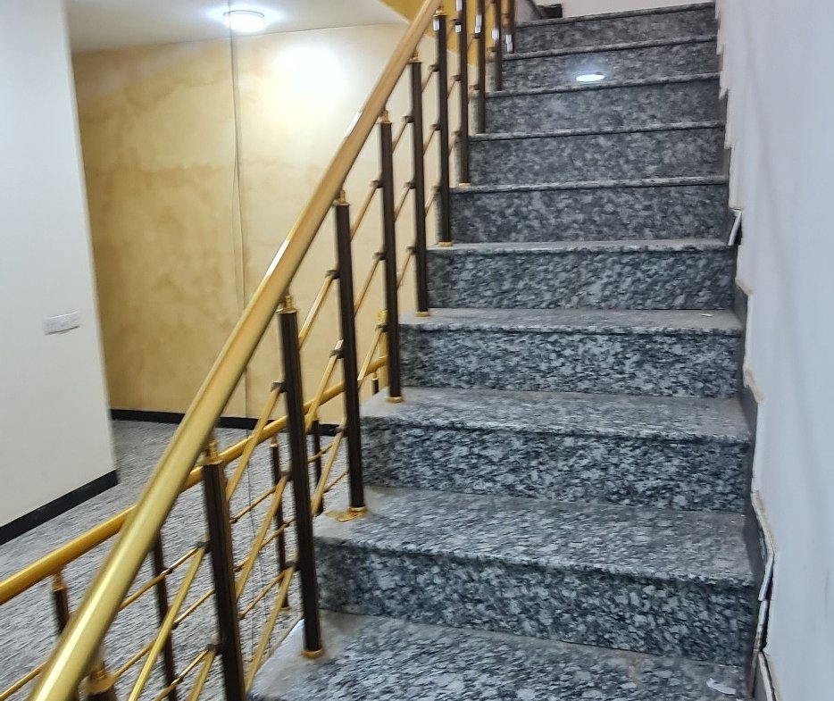 scaled_1000124115