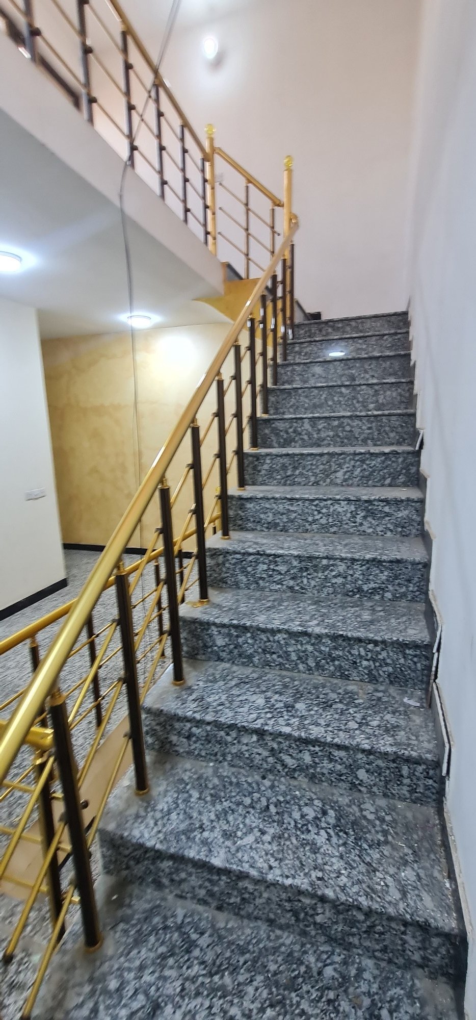scaled_1000124115