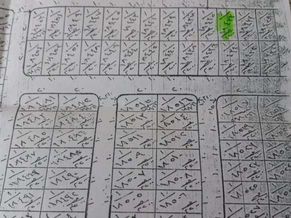 scaled 1000031972