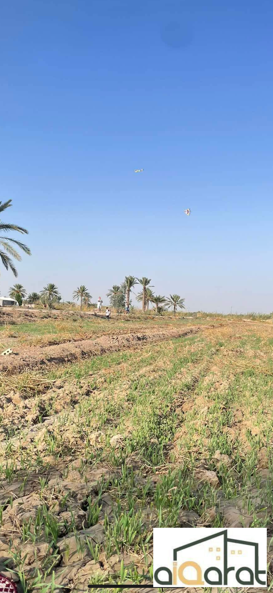 image_picker_2E0183E3-02F1-4E9F-B335-5E9ACB83AAEA-40571-0000137C94442E9C