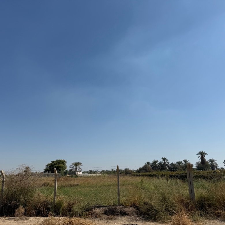 بستان للبيع في صلاح الدين- بلد مدخل الغواضر(٦٤٦٨م²)السعر للدونم ٢٠٠مليون دينار 2 image picker 9E07E4DC 54F8 4B8F 8A45 D9112466AE3A 65319 00001BAF4DF0D1F0