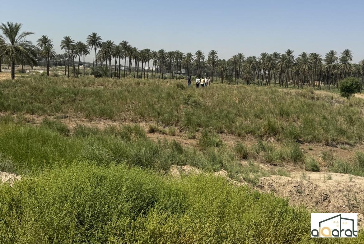 image_picker_A3AB1819-B2FF-4AB1-9097-93F21AFEDE1C-40571-0000137C949A2764