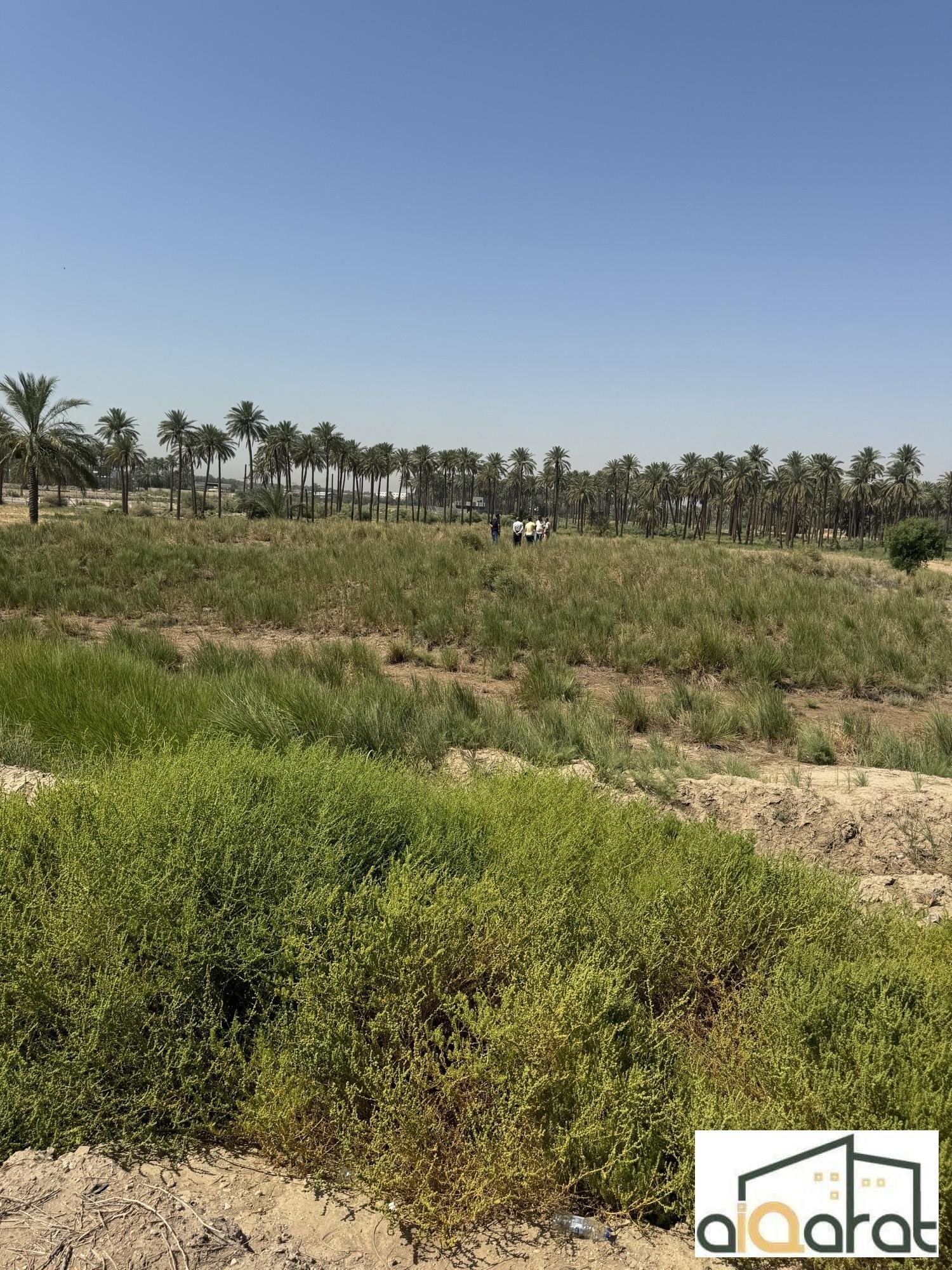 image_picker_A3AB1819-B2FF-4AB1-9097-93F21AFEDE1C-40571-0000137C949A2764