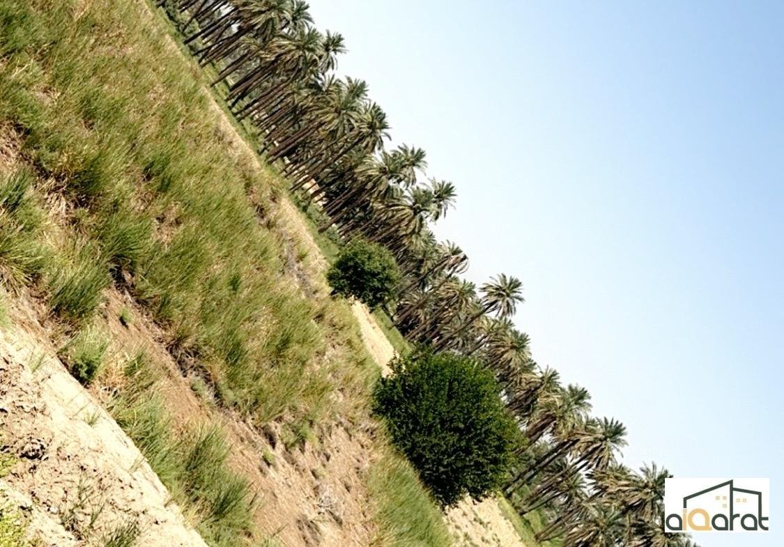 image_picker_D438ED75-74B2-4531-AC4F-498A4B610D80-40571-0000137C94155E88