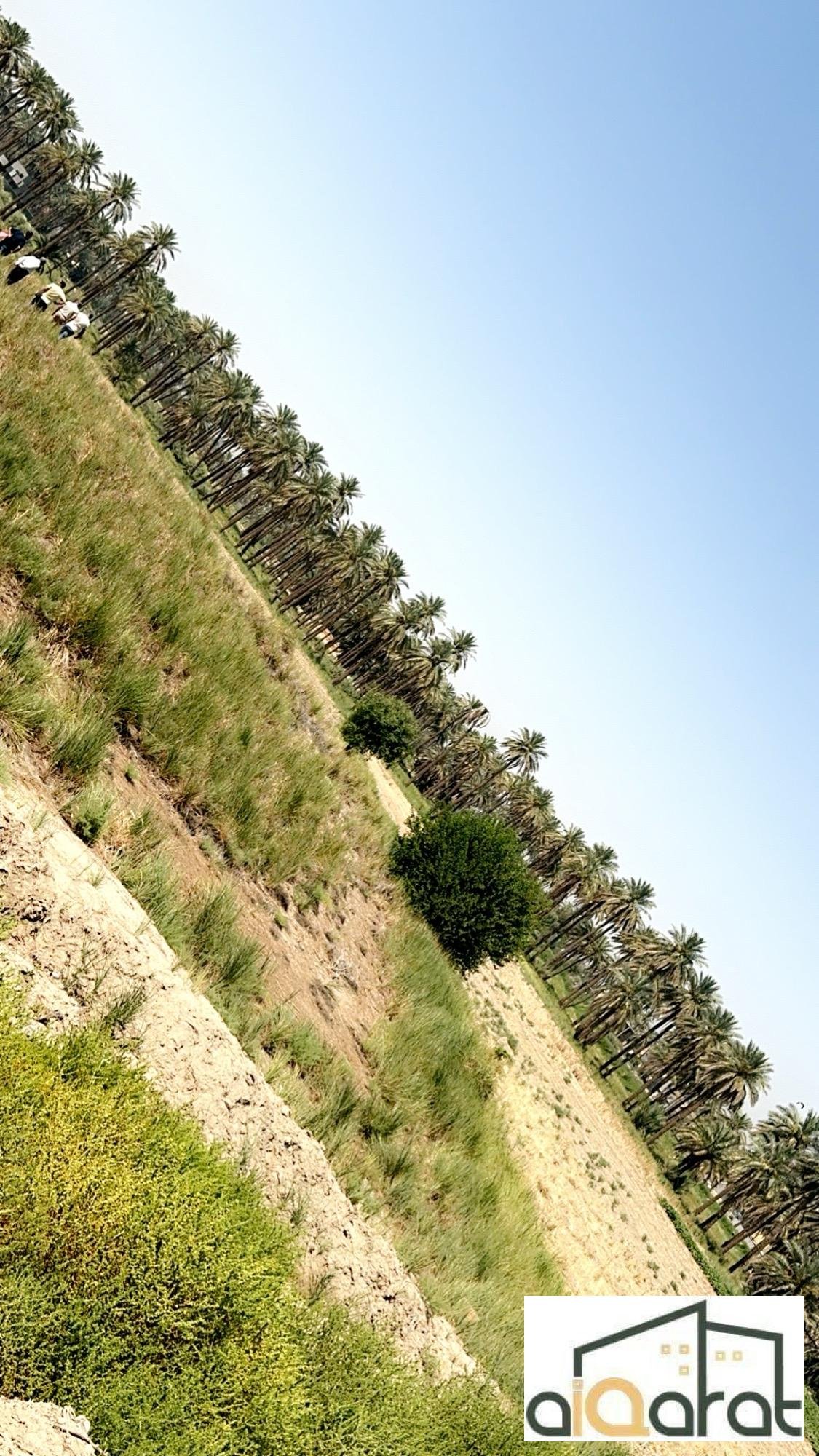 image_picker_D438ED75-74B2-4531-AC4F-498A4B610D80-40571-0000137C94155E88