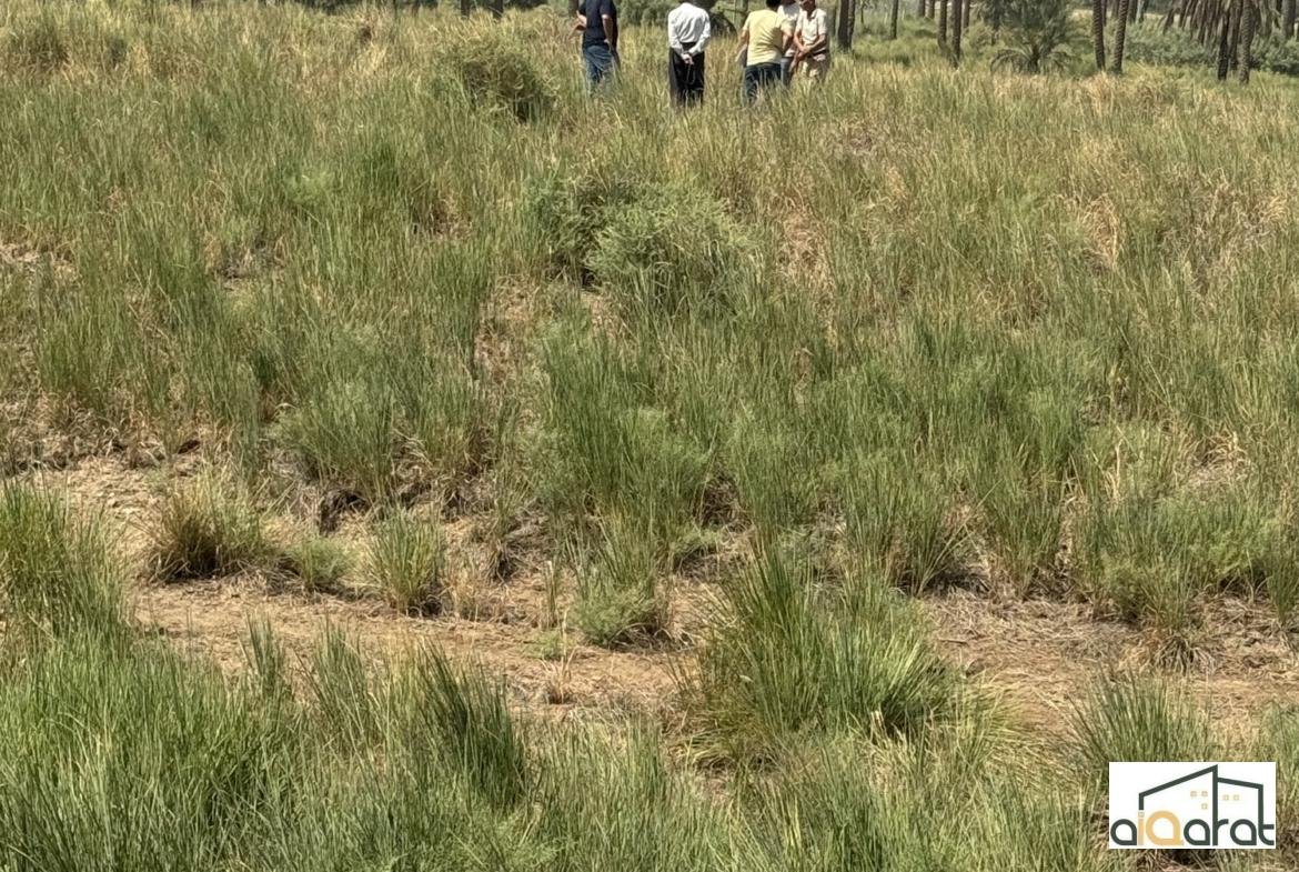 image_picker_E1D962A5-93E7-42C7-A6C4-085E76503312-40571-0000137C94578F11