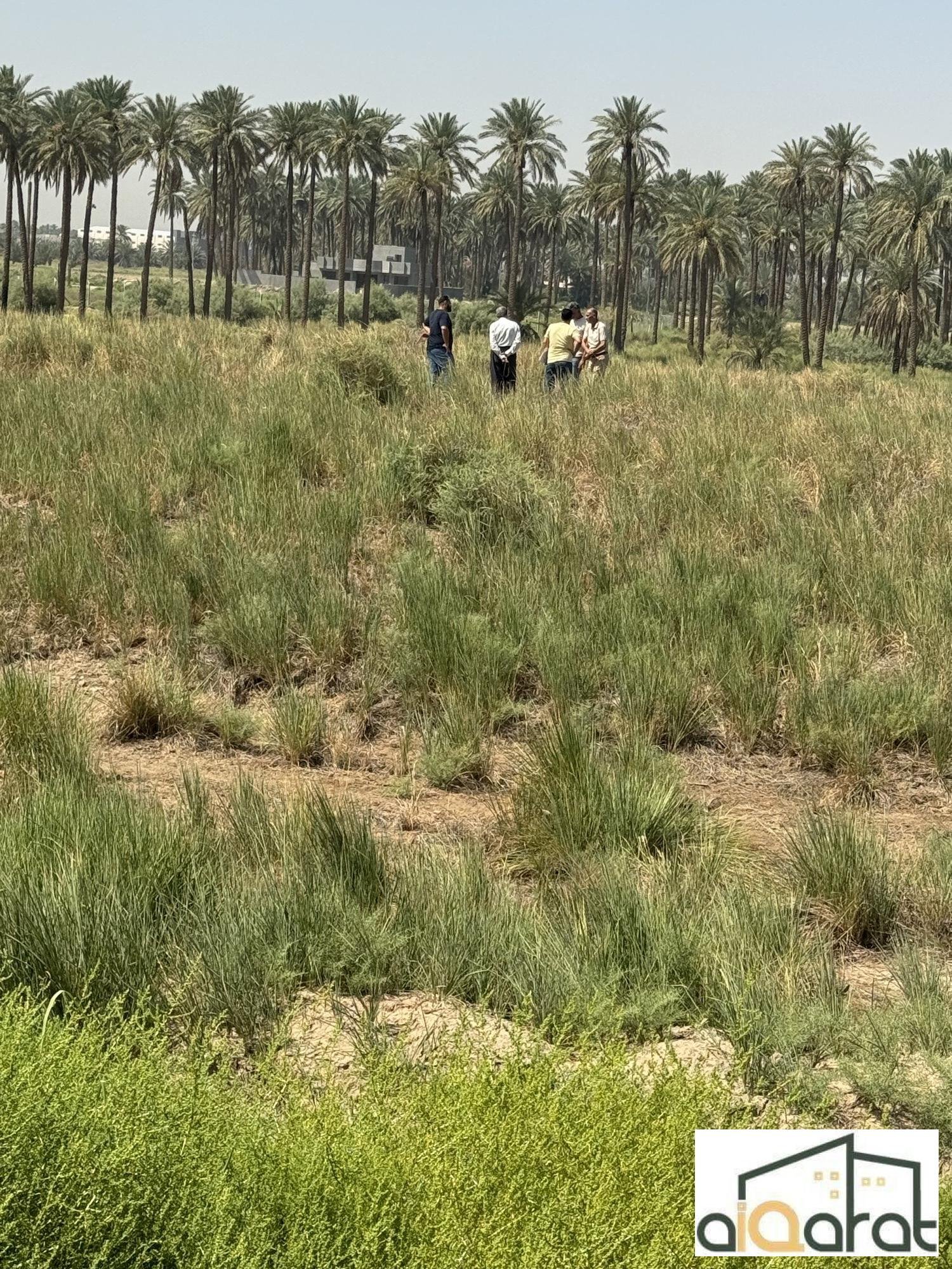 image_picker_E1D962A5-93E7-42C7-A6C4-085E76503312-40571-0000137C94578F11