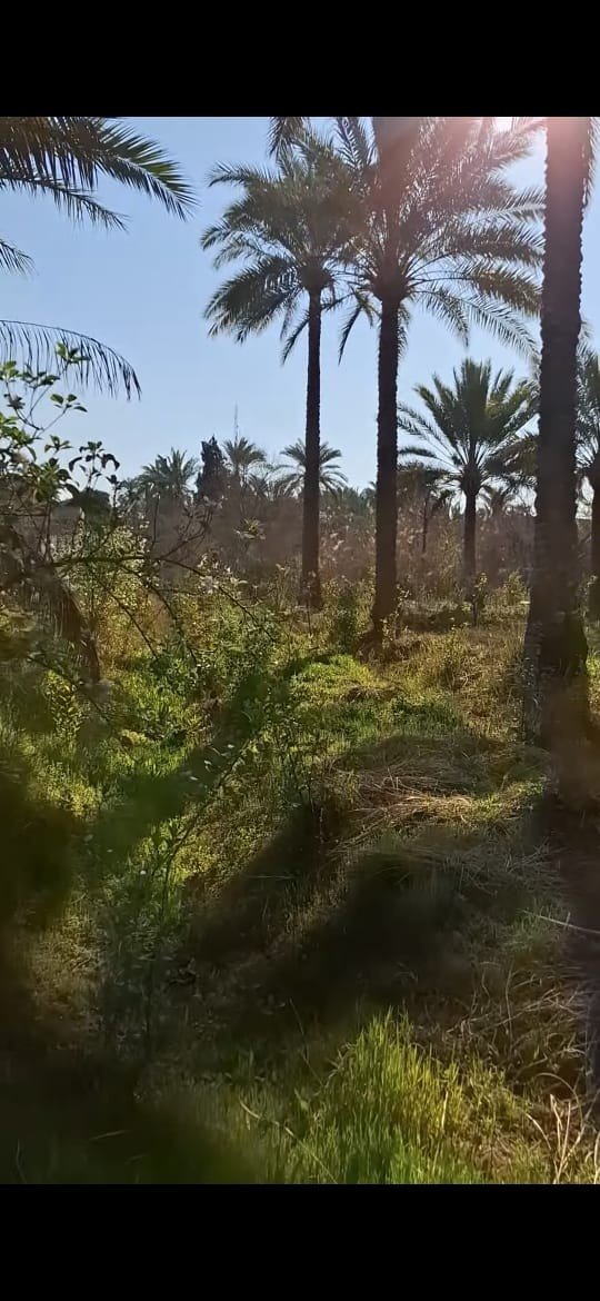 scaled IMG 20251029 WA0005