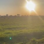 image picker 84E6A721 ADC7 4DDF 925D 9AEA2E919134 30817 00000B86C9607502 e1771265009637