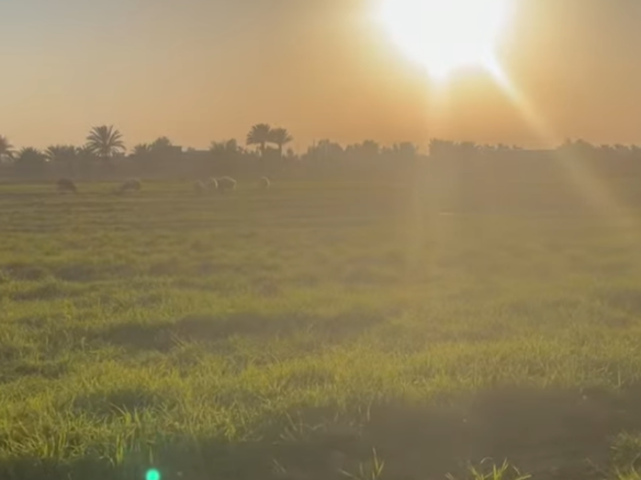 image picker 84E6A721 ADC7 4DDF 925D 9AEA2E919134 30817 00000B86C9607502 e1771265009637