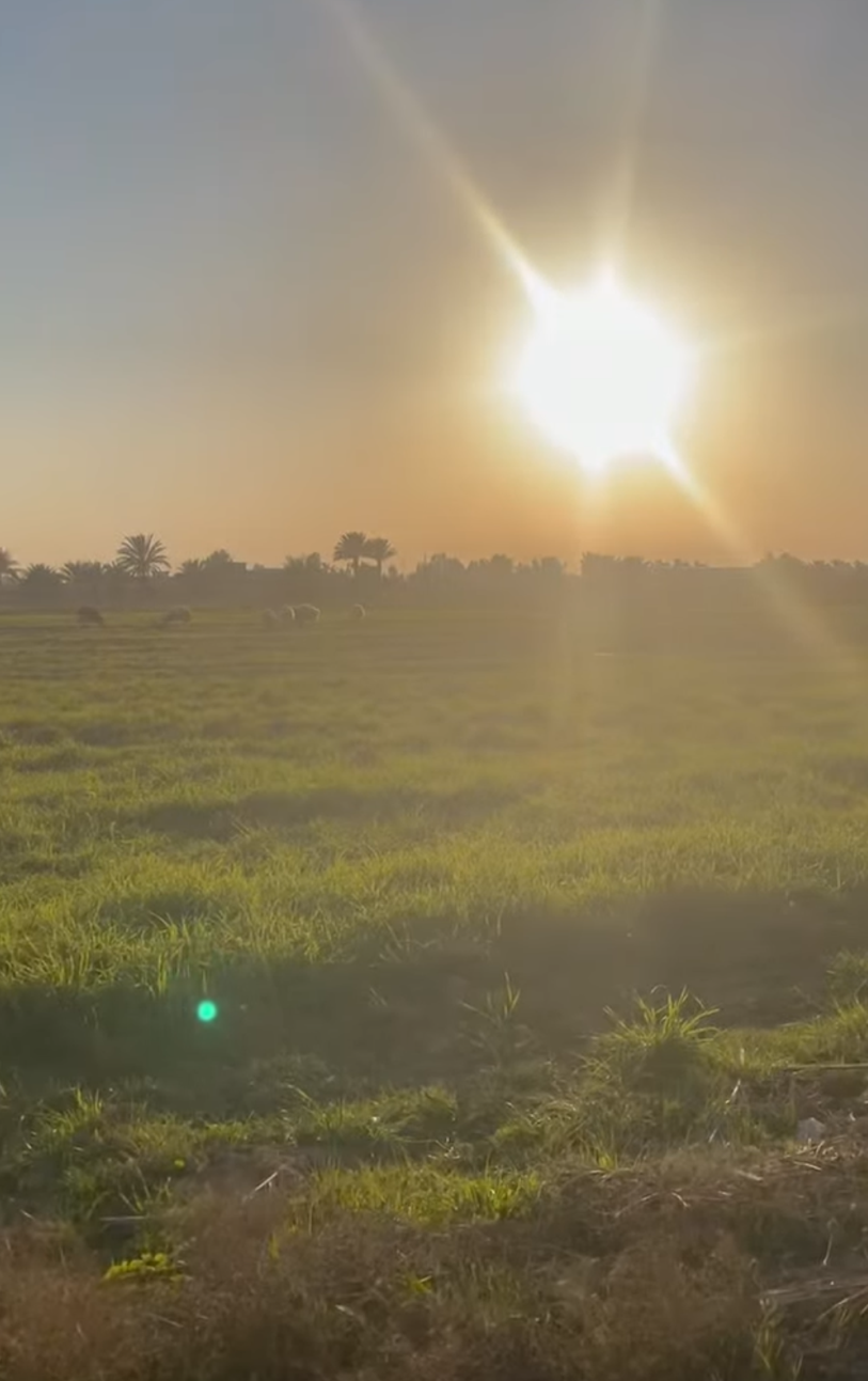 image_picker_84E6A721-ADC7-4DDF-925D-9AEA2E919134-30817-00000B86C9607502