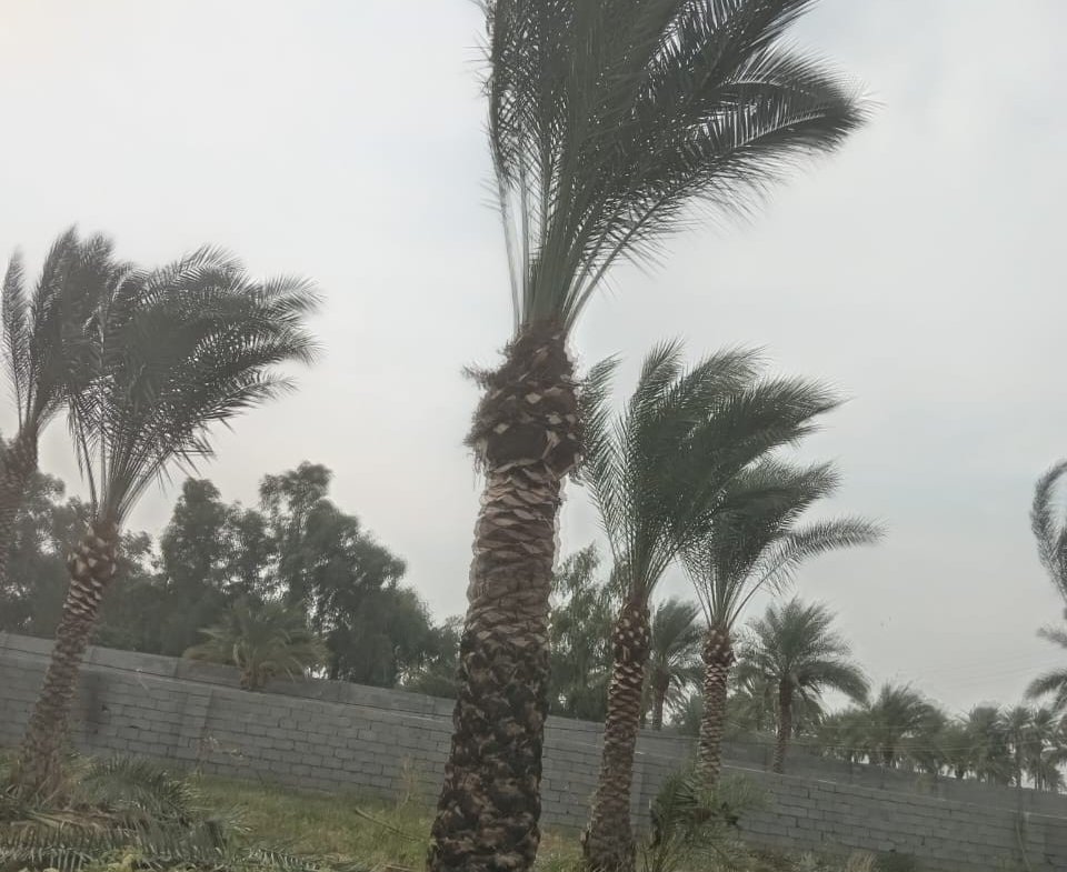 أرض للبيع في ابو غريب- بالقرب من مركز شرطة عكركوف(١دونم) السعر ١٨٠مليون دينار