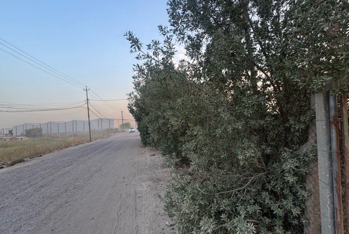 بستان للبيع في جسر ديالى-الكرغولية(دونم) السعر ٤٢٥مليون دينار