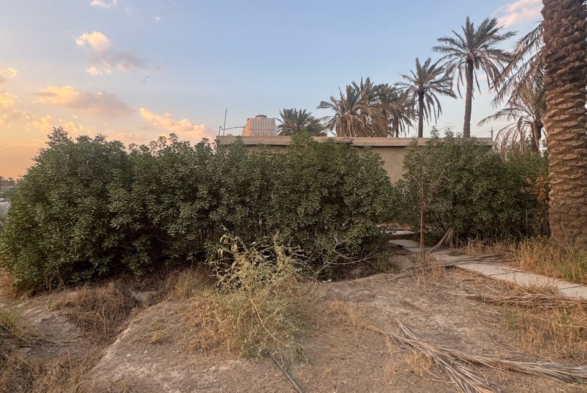 بستان للبيع في جسر ديالى-الكرغولية(دونم) السعر ٤٢٥مليون دينار