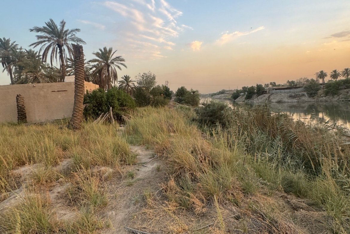 بستان للبيع في جسر ديالى-الكرغولية(دونم) السعر ٤٢٥مليون دينار