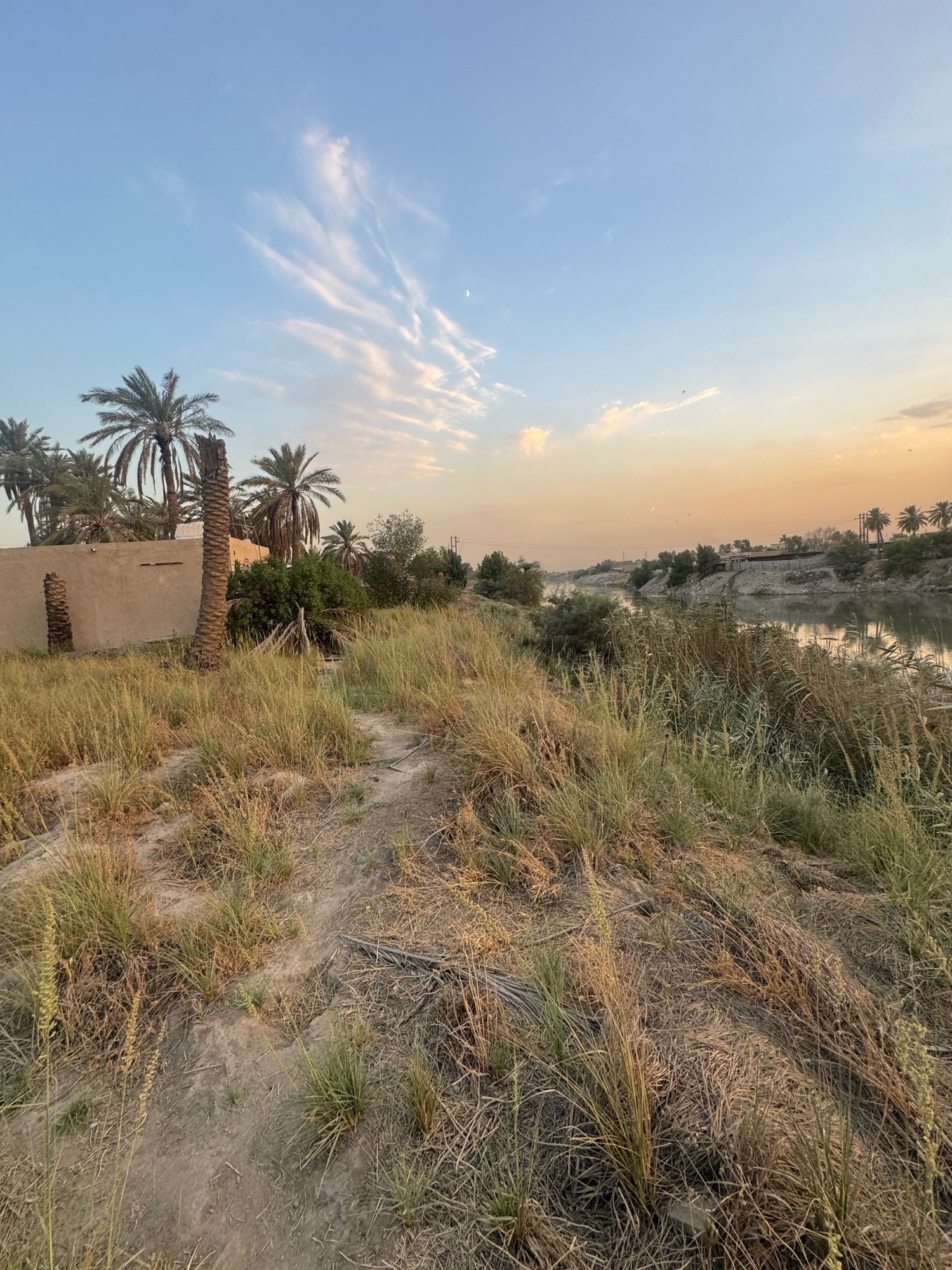 بستان للبيع في جسر ديالى-الكرغولية(دونم) السعر ٤٢٥مليون دينار