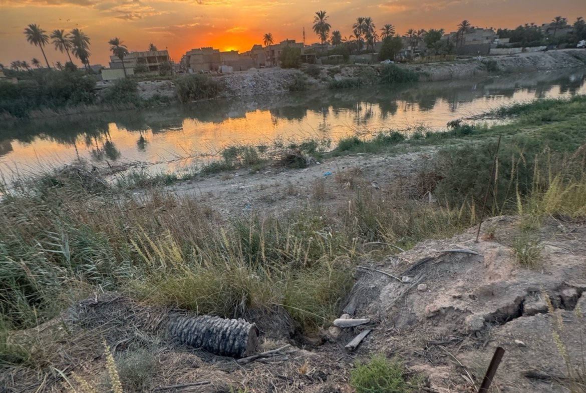 بستان للبيع في جسر ديالى-الكرغولية(دونم) السعر ٤٢٥مليون دينار