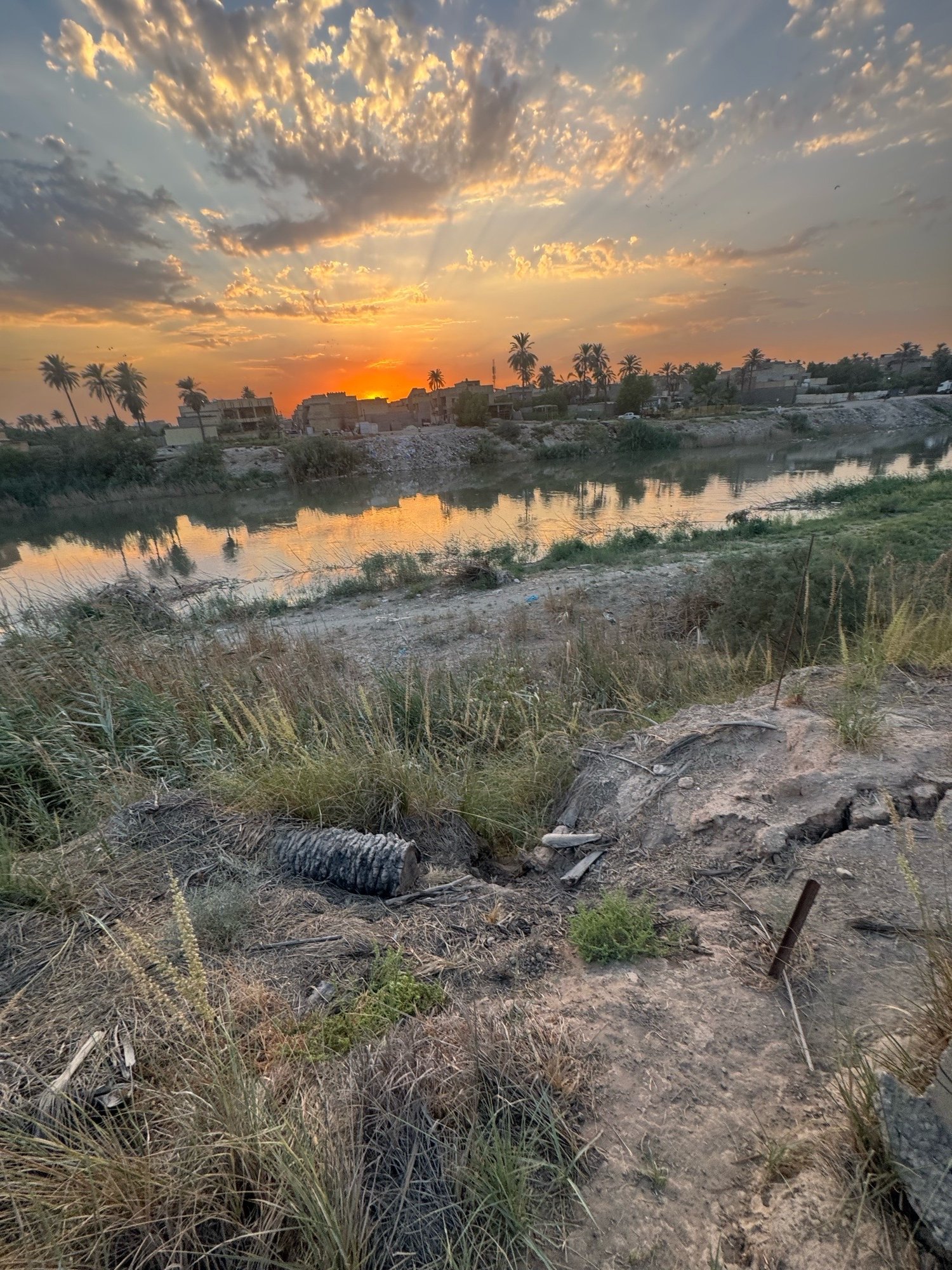 بستان للبيع في جسر ديالى-الكرغولية(دونم) السعر ٤٢٥مليون دينار