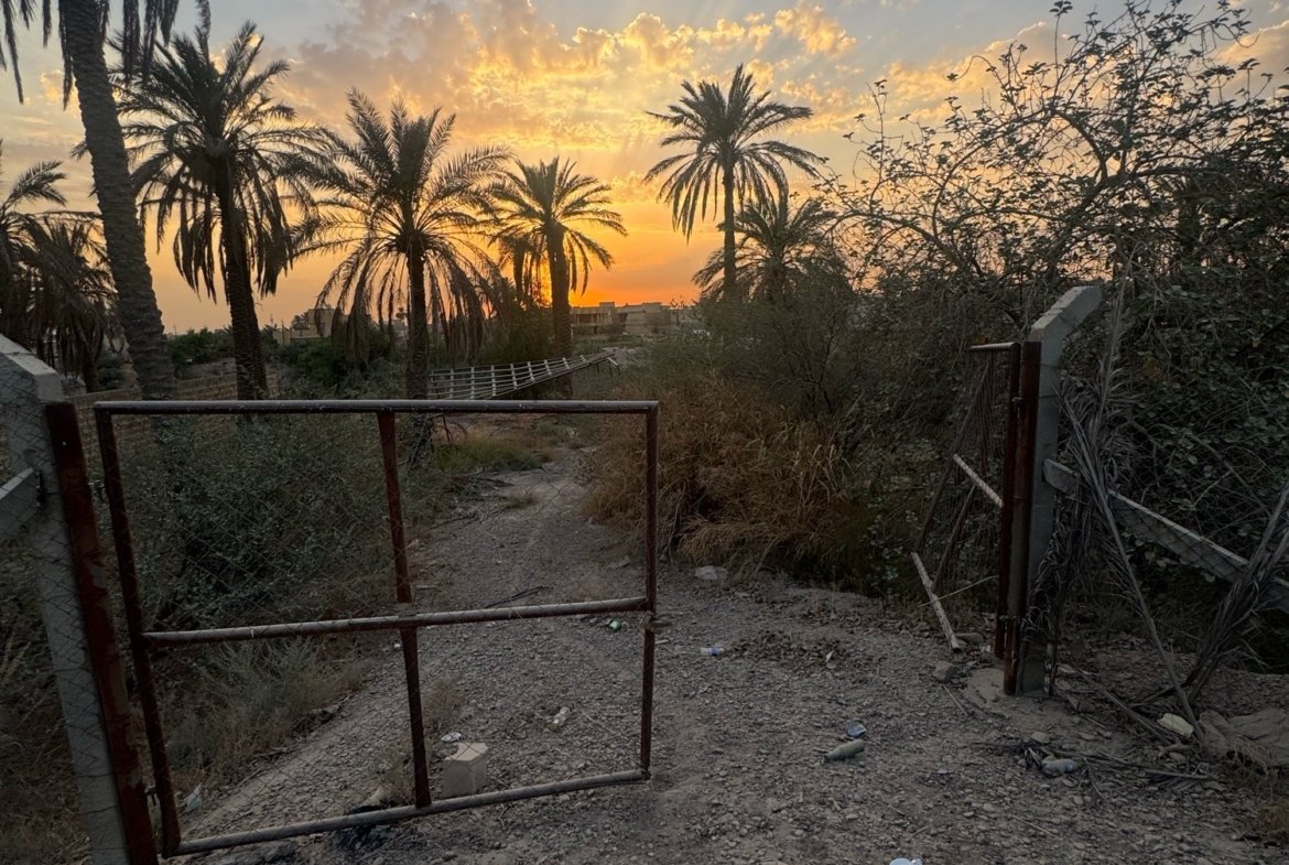 بستان للبيع في جسر ديالى-الكرغولية(دونم) السعر ٤٢٥مليون دينار