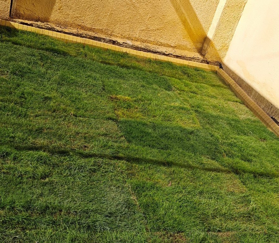 دار للبيع في حي الجهاد(١٧٥م²)السعر ٣٨٥مليون دينار