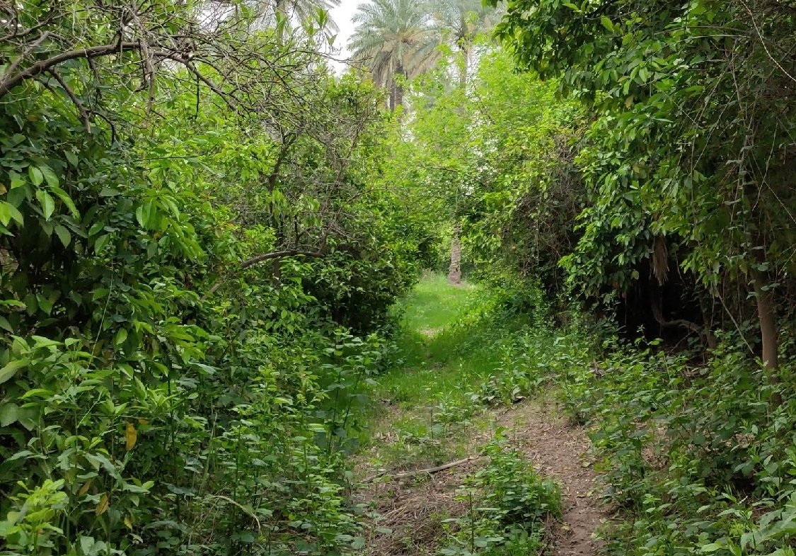 دار للايجار في البوعيثة(٤٠٠م²) الايجار الشهري ٥٠٠٬٠٠٠ دينار