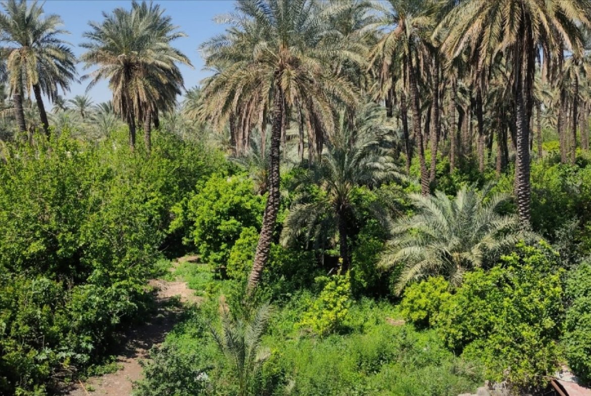 دار للايجار في البوعيثة(٤٠٠م²) الايجار الشهري ٥٠٠٬٠٠٠ دينار