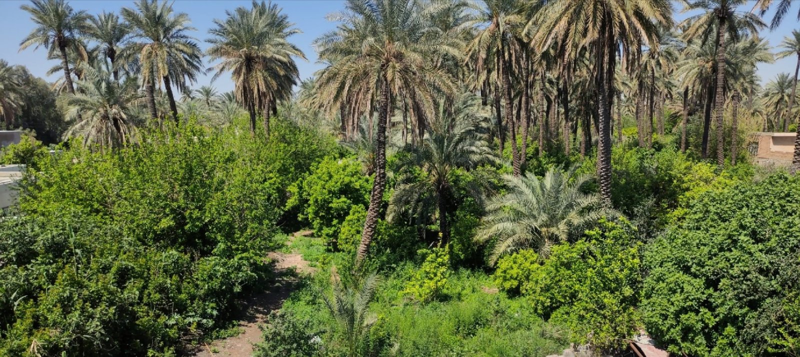 دار للايجار في البوعيثة(٤٠٠م²) الايجار الشهري ٥٠٠٬٠٠٠ دينار